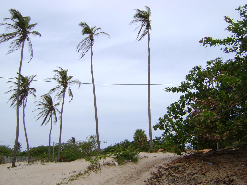 Pousada Paraiso Das Canárias Esterno foto